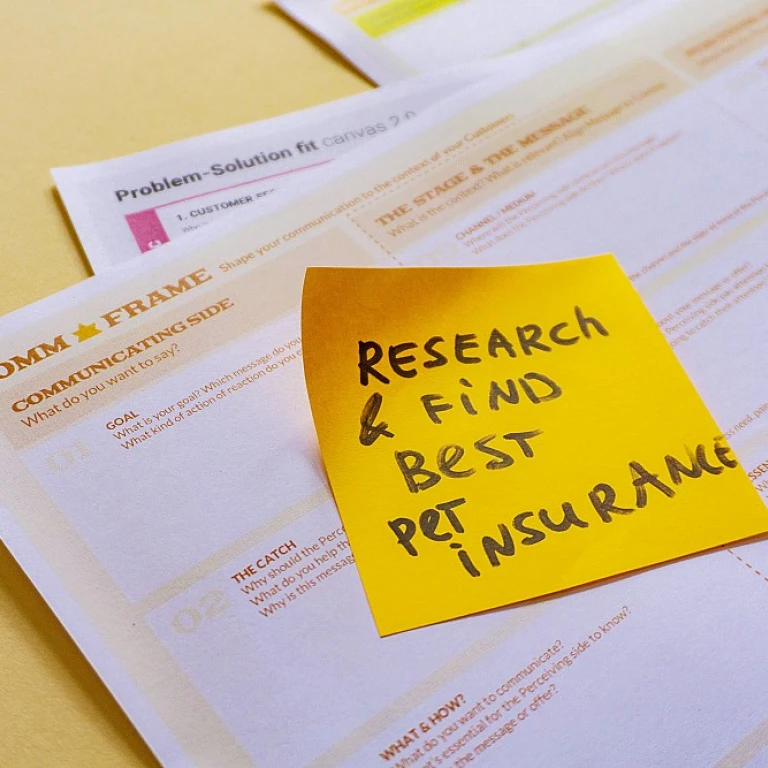 Comprendre les subtilités de l'assurance vie cachemire